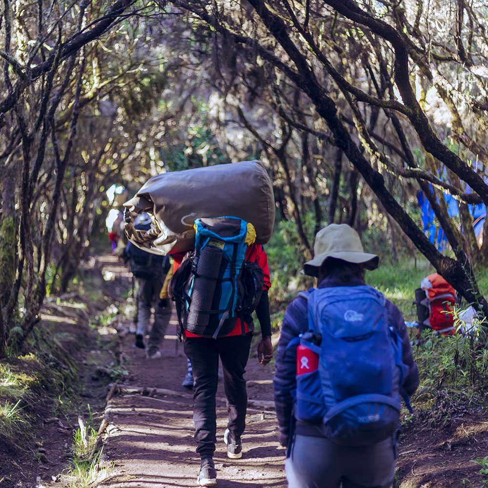 Kilimanjaro