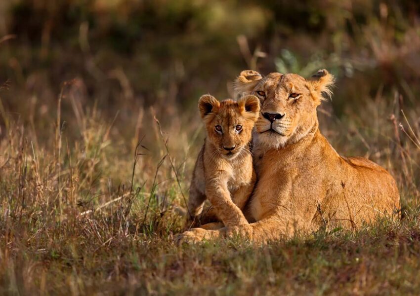 Lake Manyara National Park