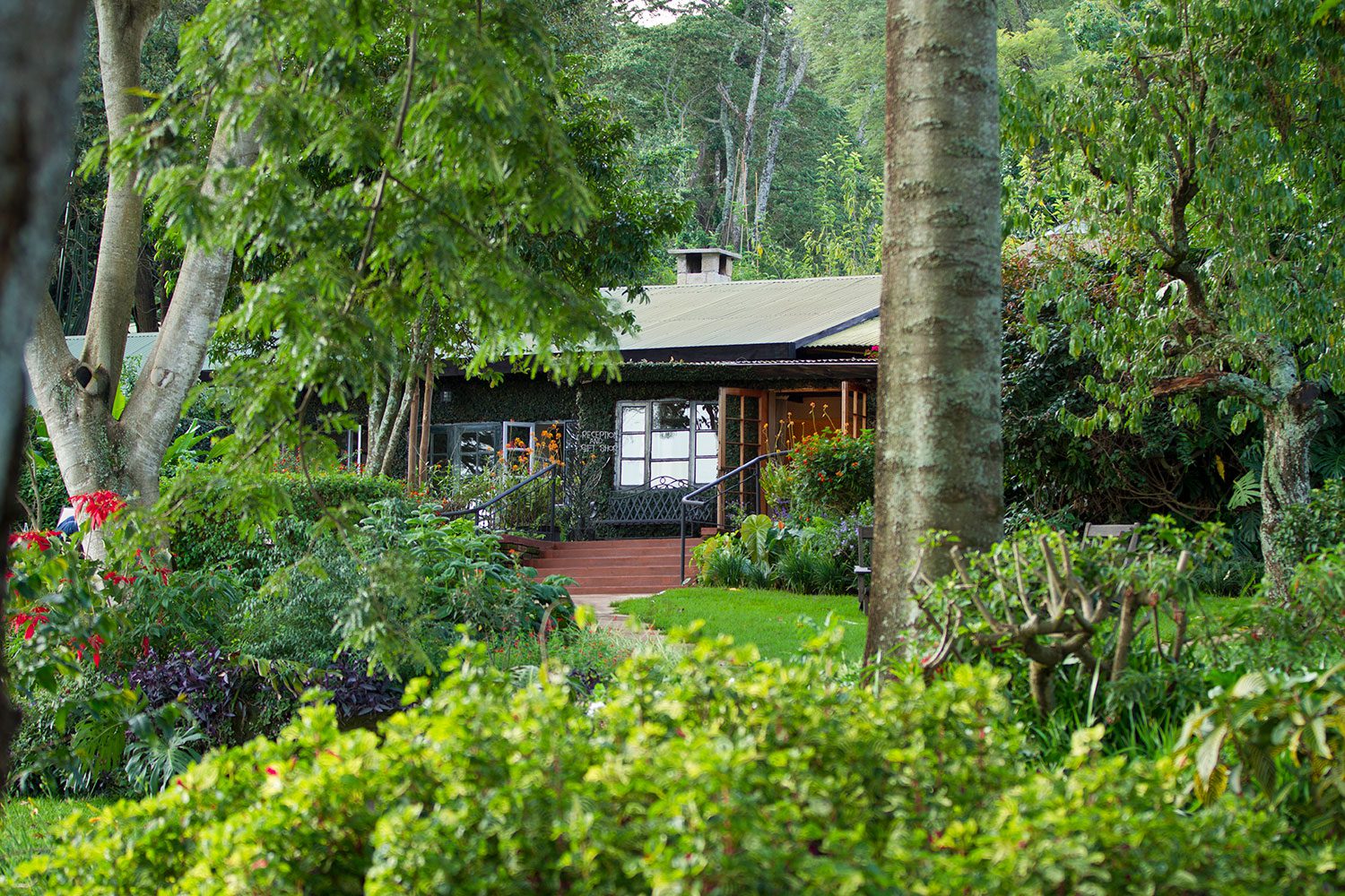 gibbs-farm-lodge
