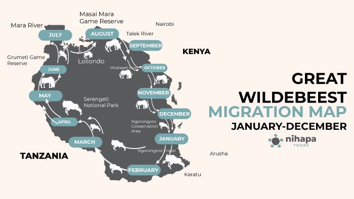 Wildebeest Migration Map showing seasonal movement from Serengeti to Masai Mara with key locations and river crossings.