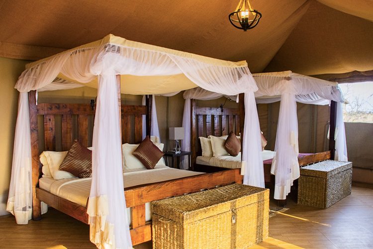 Serengeti Safari Lodge – Best lodge in Serengeti National Park offering comfortable accommodations and stunning views