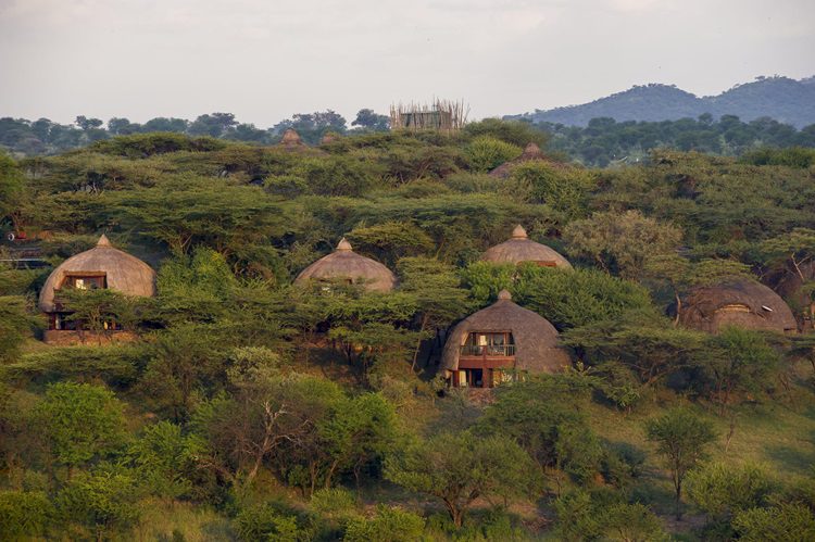 Serengeti Serena Safari Lodge – Best family-friendly lodge in Serengeti National Park with stunning views