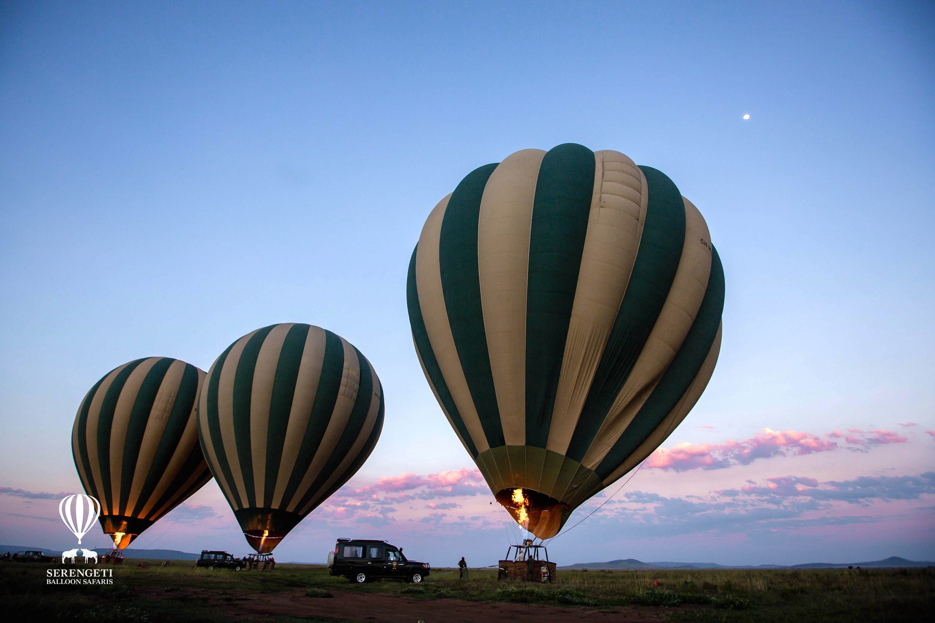 Three Serengeti Balloon Safaris preparing to launch at sunrise over the savannah.