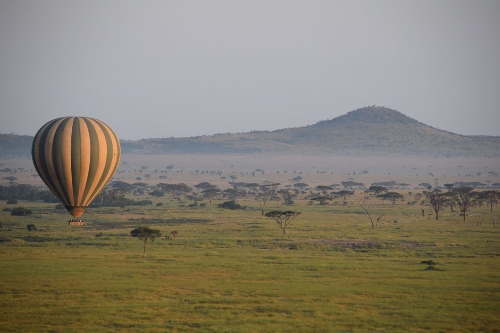 Serengeti Balloon Safari floating over the savannah at sunrise with wildlife below