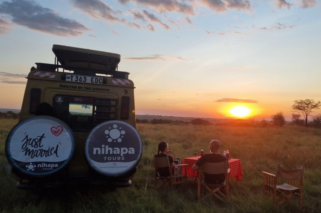 Tanzania safari vehicle watching elephants in Serengeti National Park