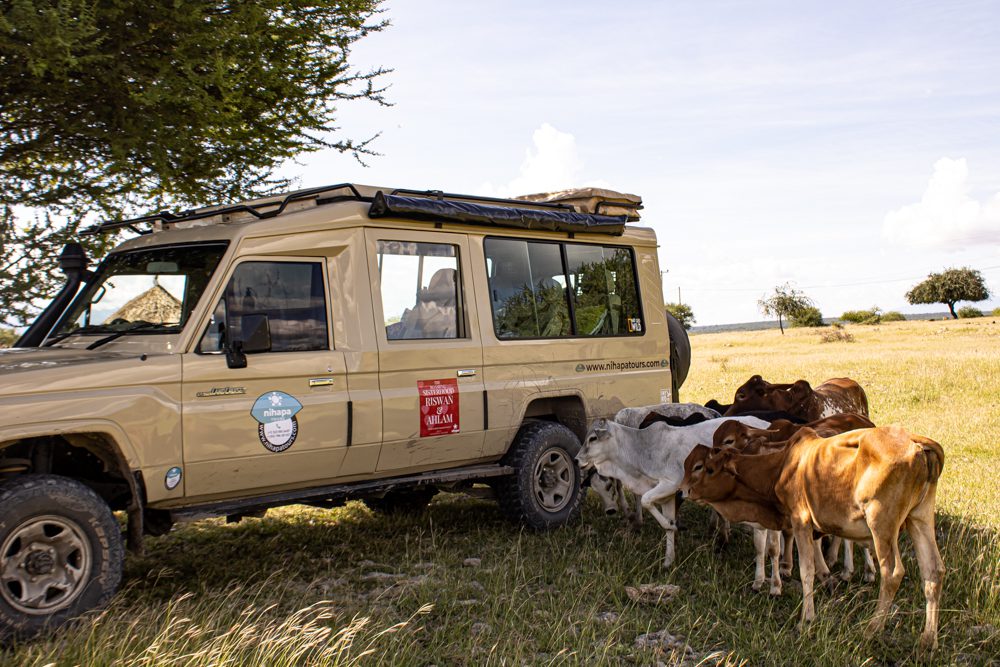 Nihapa Tours Safari Vehicle in the Bush