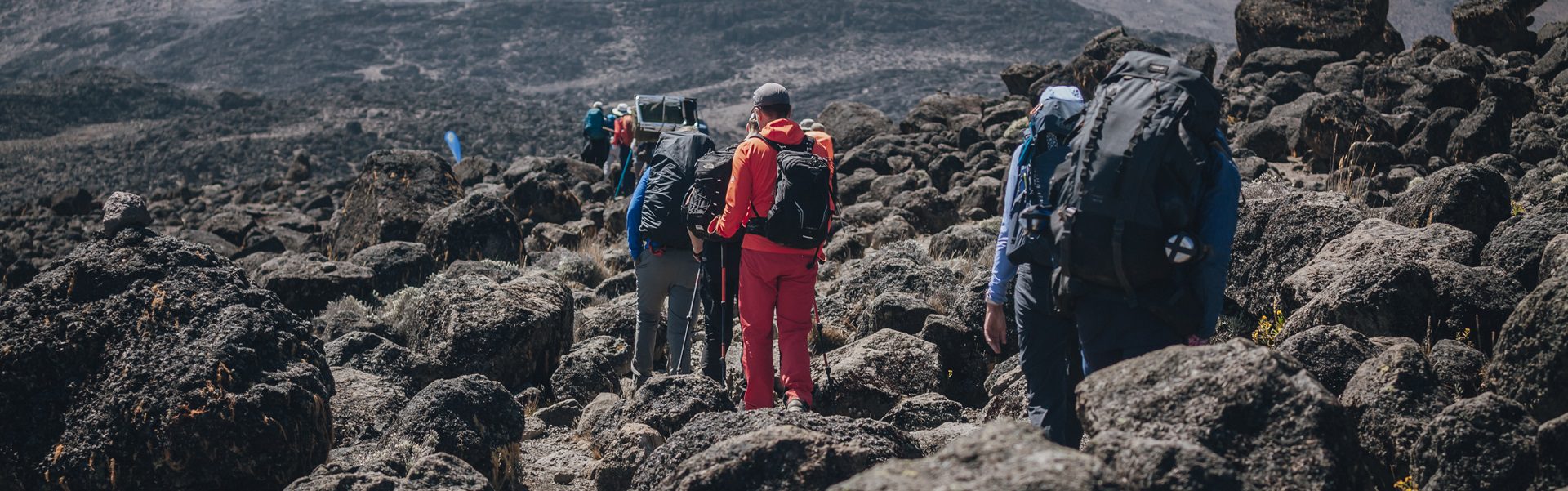 7-Day Lemosho Route: Your Scenic Kilimanjaro Adventure