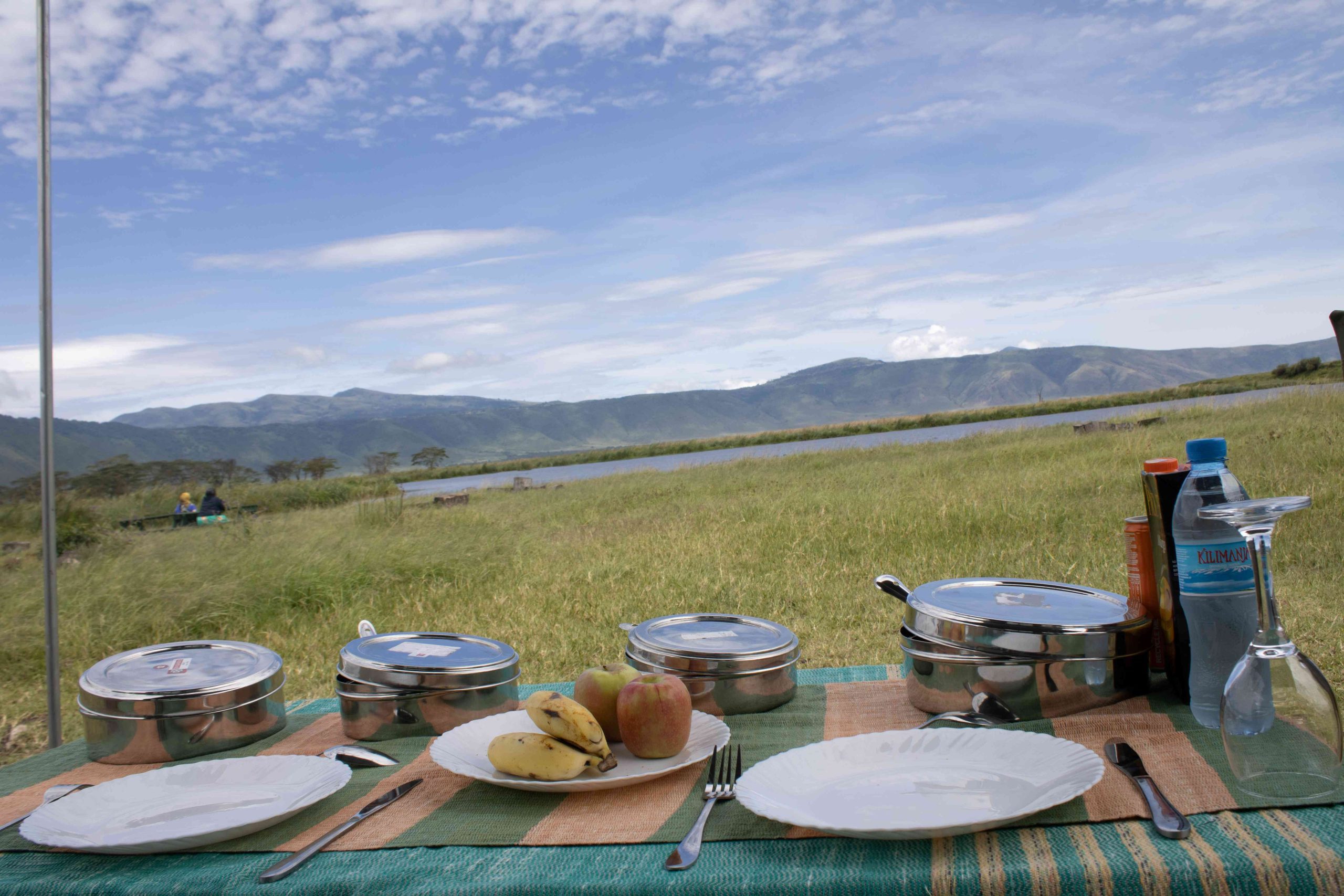Safari Picnic