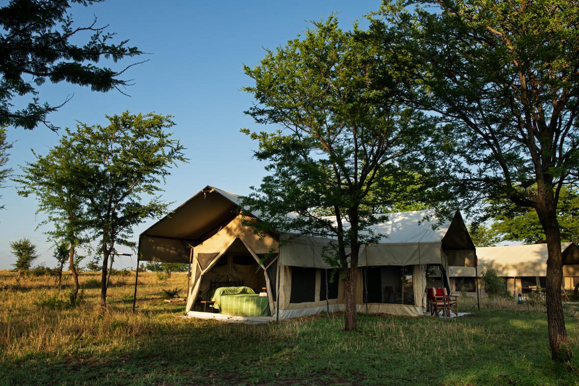 Serengeti Kati Kati