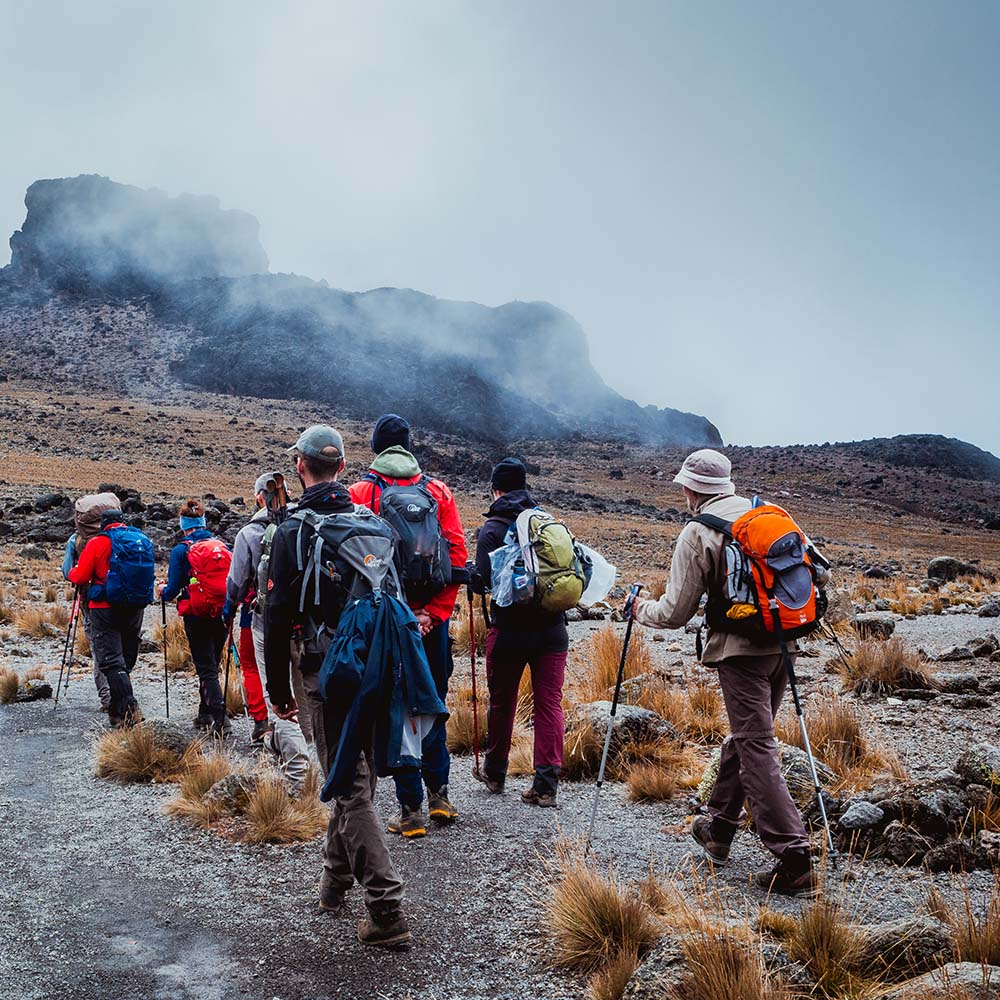 8-Day Kilimanjaro Lemosho Route Trek - Climb With Nihapa Tours