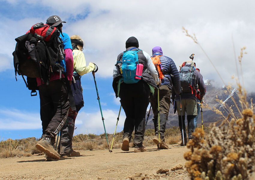 Kilimanjaro Rongai Route 7 Days