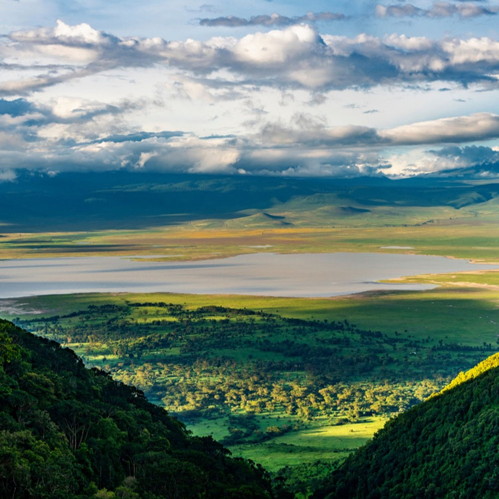 Ngorongoro