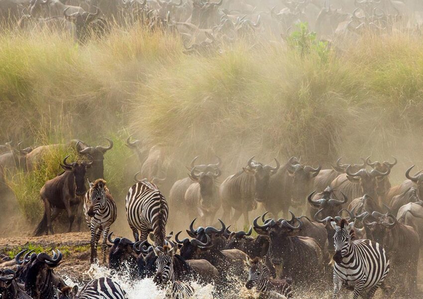 8-Day Great Migration River Crossing Safari Adventure