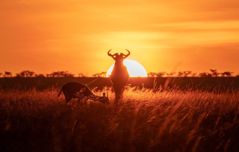 tanzania-destinations