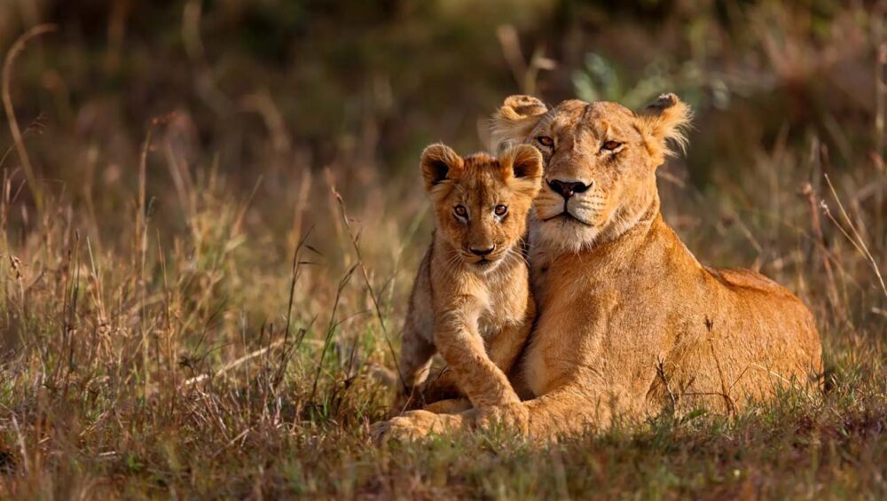 Lake Manyara National Park