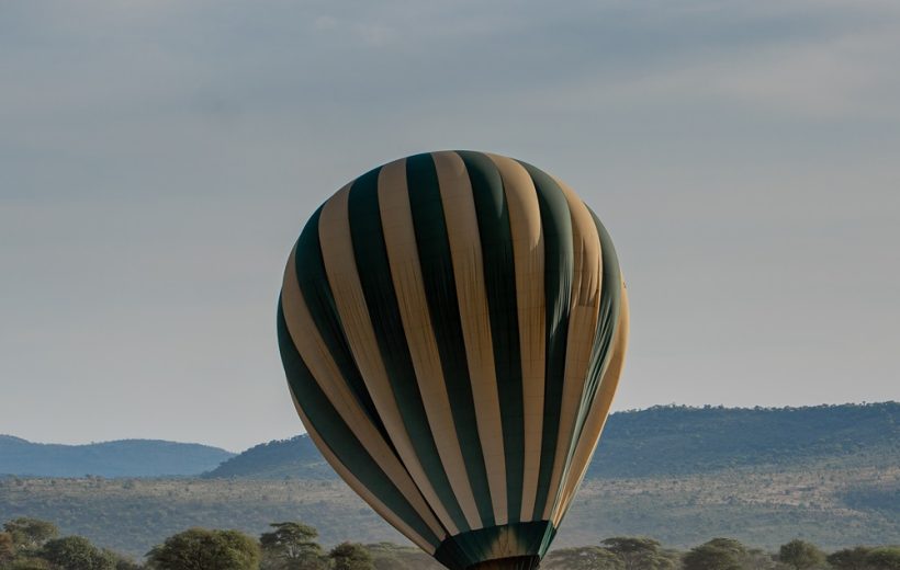 4-Days Luxury Serengeti Safari Fly in, Fly out Adventure
