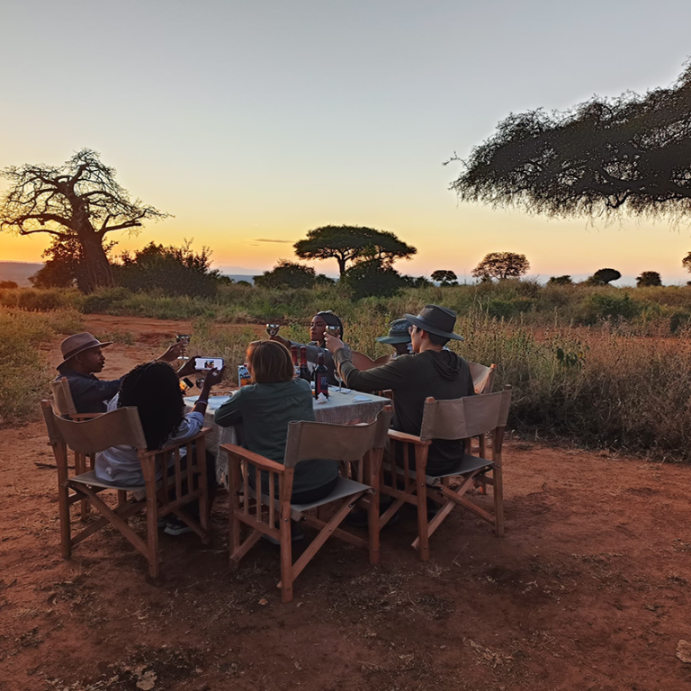 2025-tanzania-safari-and-adventure
