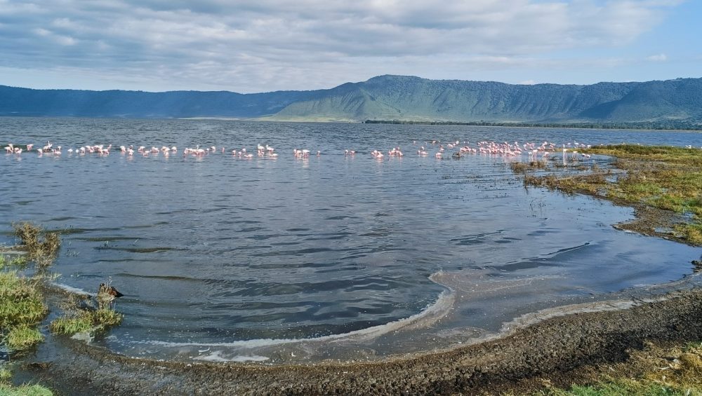 Ngorongoro-crater