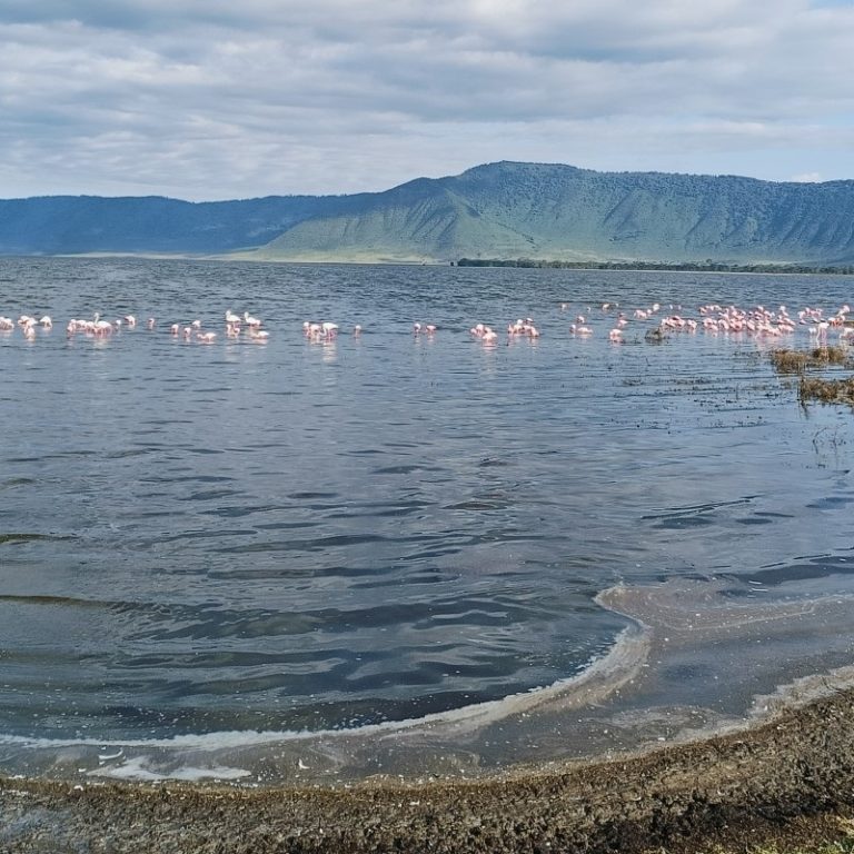 Ngorongoro-crater