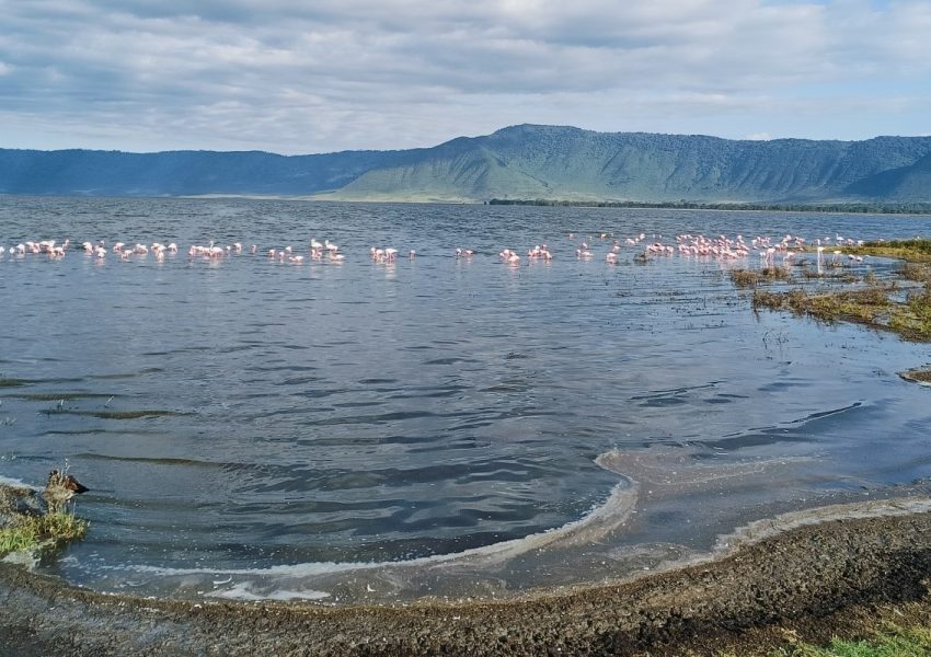 Ngorongoro-crater