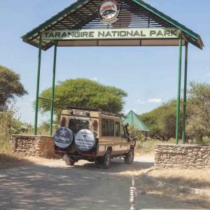 Tarangire National Park Day Trip from Arusha