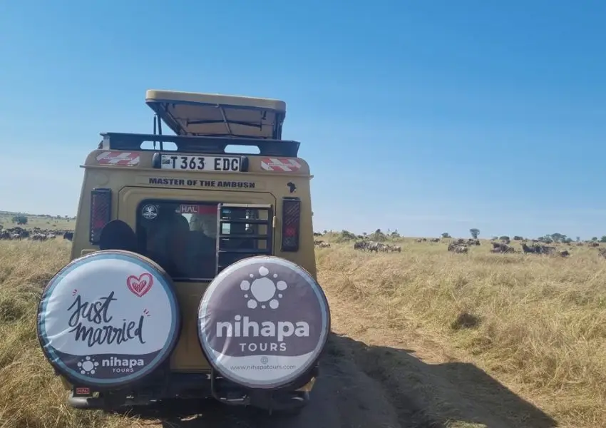 Couples looking for a honeymoon safari in Tanzania and Zanzibar Nihapa Tours the best safari company for tailored honeymoon vacation to Serengeti and Mara River