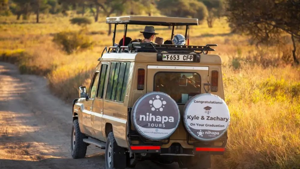 How Travel Agencies Can Find a Trusted Safari Partner in Tanzania