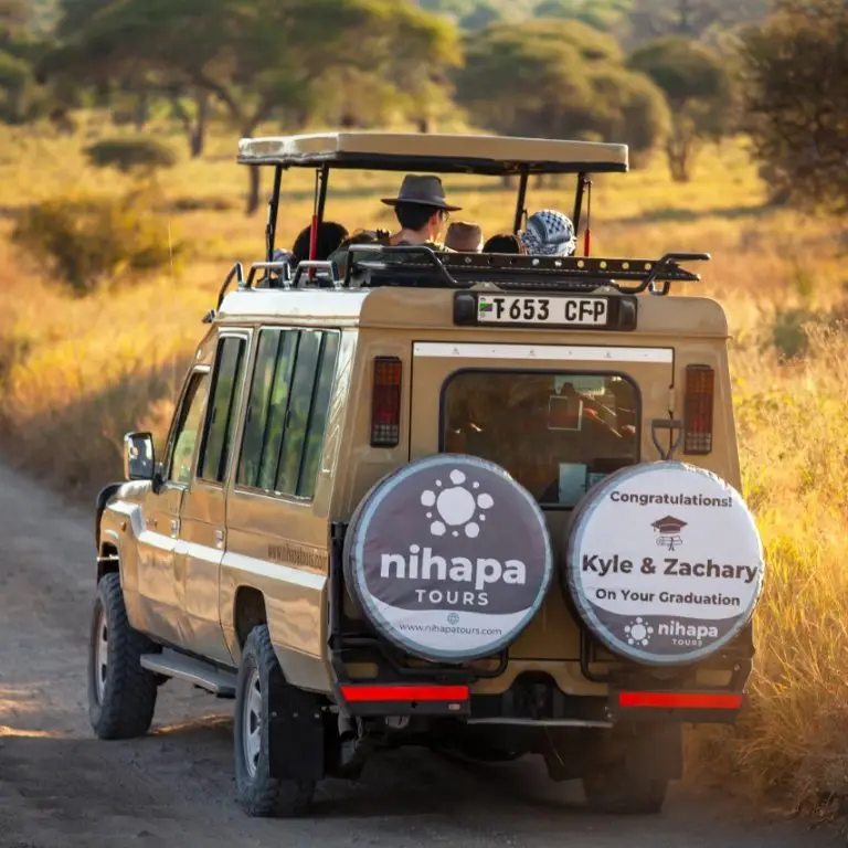 How Travel Agencies Can Find a Trusted Safari Partner in Tanzania