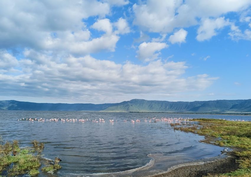 Lake Magadi, a stunning soda lake in the heart of Ngorongoro Crater, Tanzania. A highlight of any Ngorongoro Crater Safari from Zanzibar, this picturesque lake attracts flamingos and other wildlife, offering breathtaking scenery in the world's largest intact caldera.