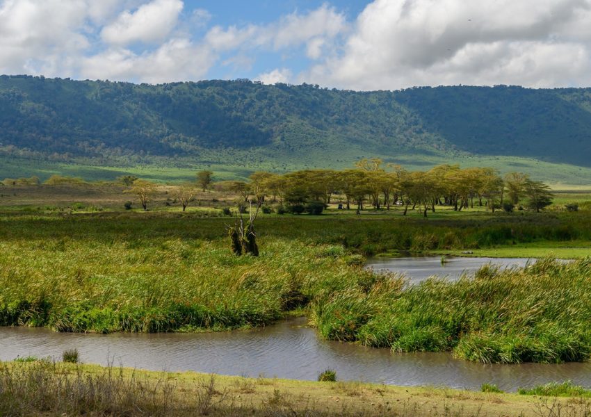 A breathtaking view of the Ngorongoro Crater, showcasing its lush green landscape and diverse wildlife, perfect for a Ngorongoro Crater day trip.