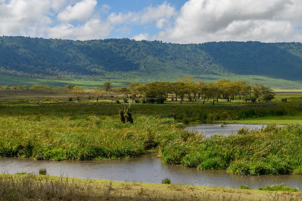 A breathtaking view of the Ngorongoro Crater, showcasing its lush green landscape and diverse wildlife, perfect for a Ngorongoro Crater day trip.