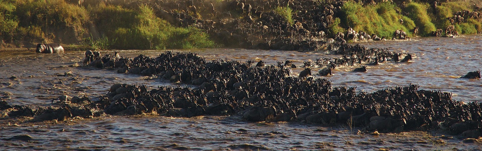 7 Day Tanzania Serengeti Migration Safari