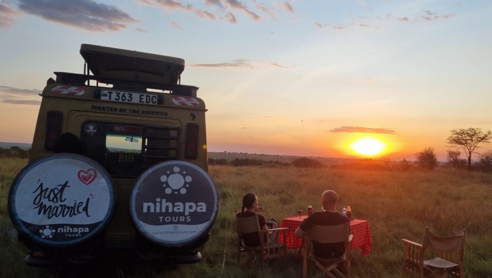 Tanzania safari vehicle watching elephants in Serengeti National Park