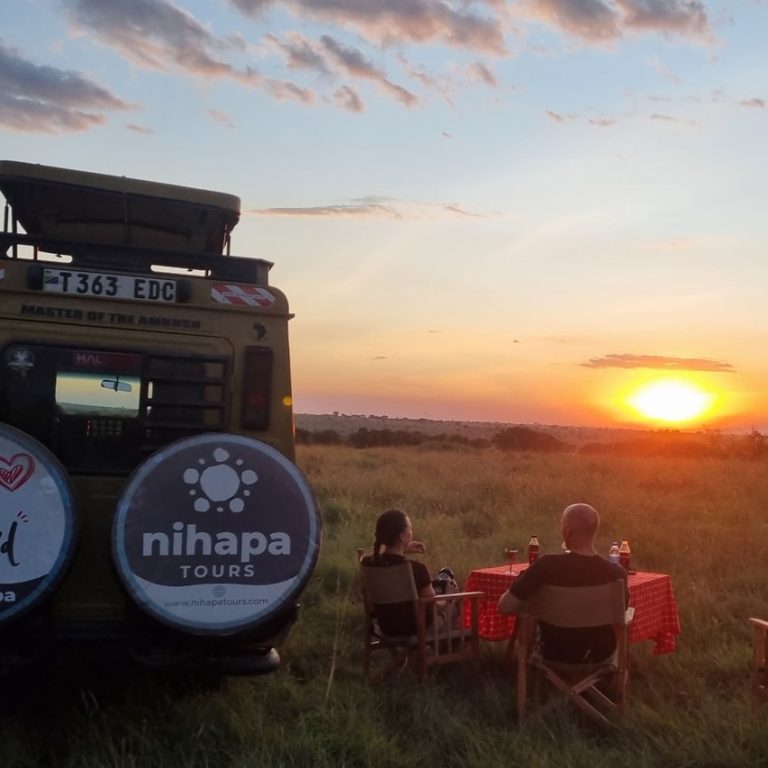 Tanzania safari vehicle watching elephants in Serengeti National Park