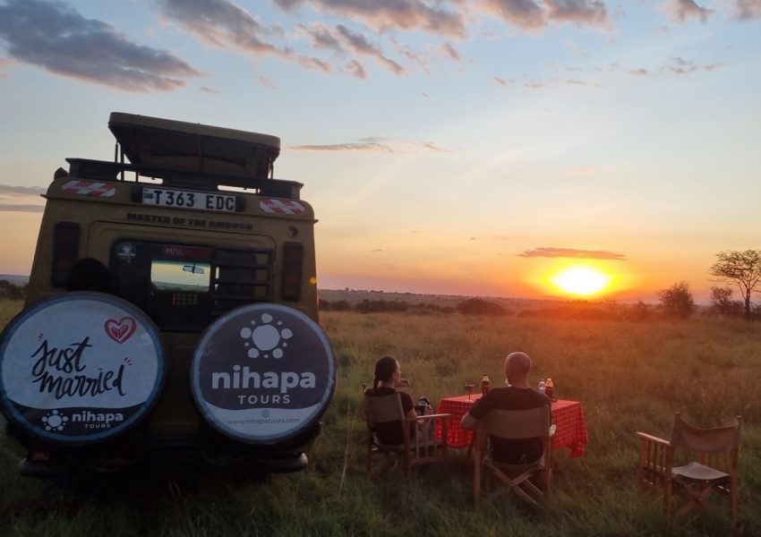 Tanzania safari vehicle watching elephants in Serengeti National Park