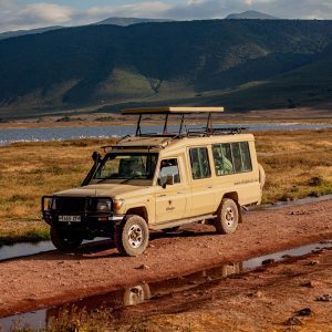 2 Days Tanzania Safari