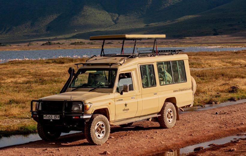 5 Days Tanzania Safari Fly-in from Zanzibar