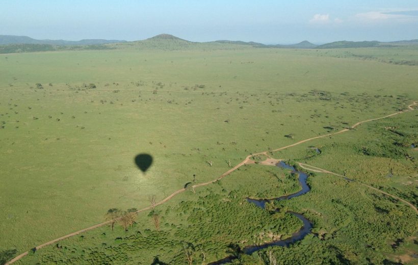 5-day Fly in Southern Serengeti Safari From Zanzibar