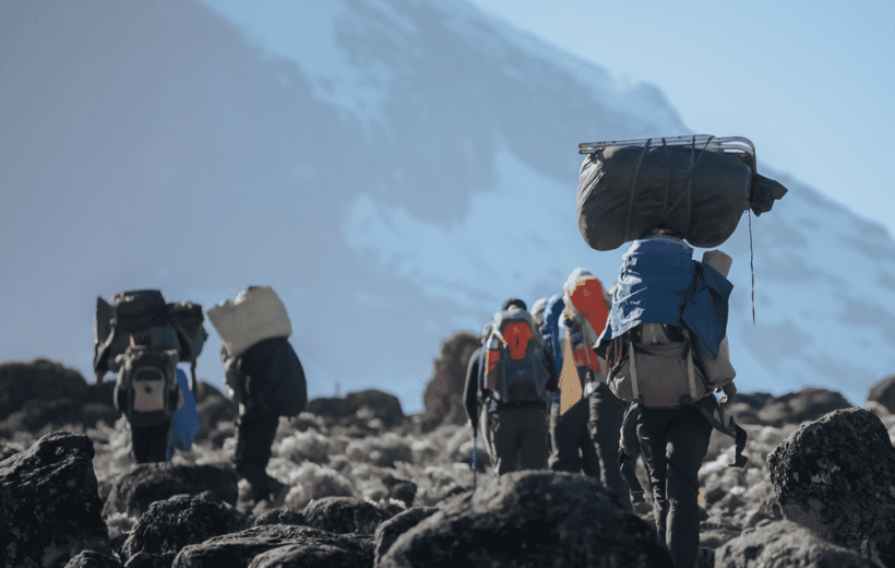 The 7-Day Lemosho Route