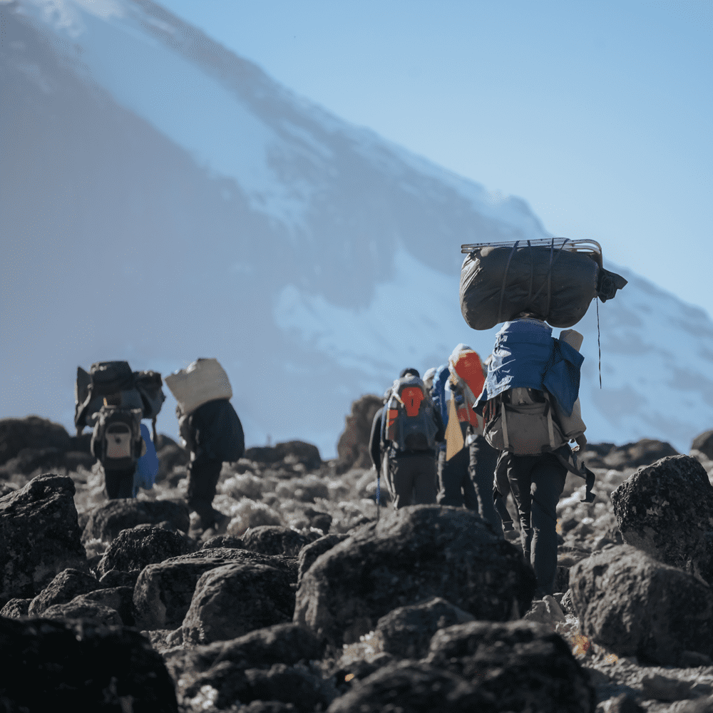 The 7-Day Lemosho Route