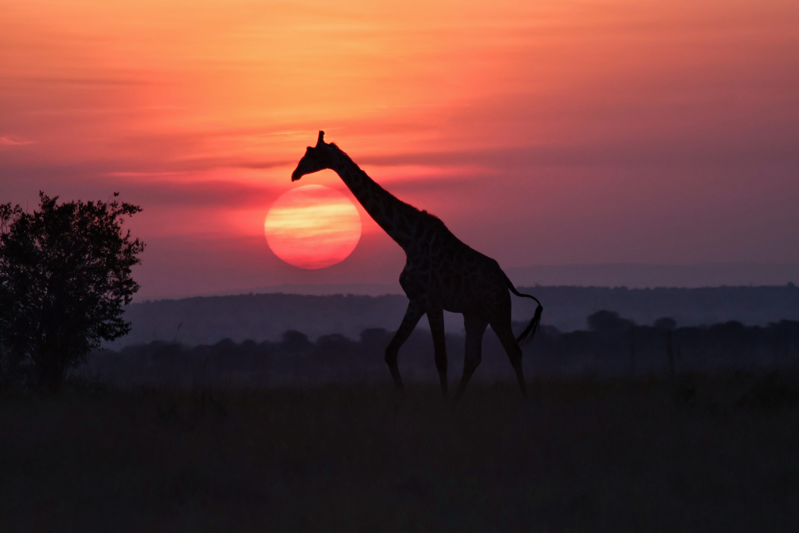 Northern Serengeti
