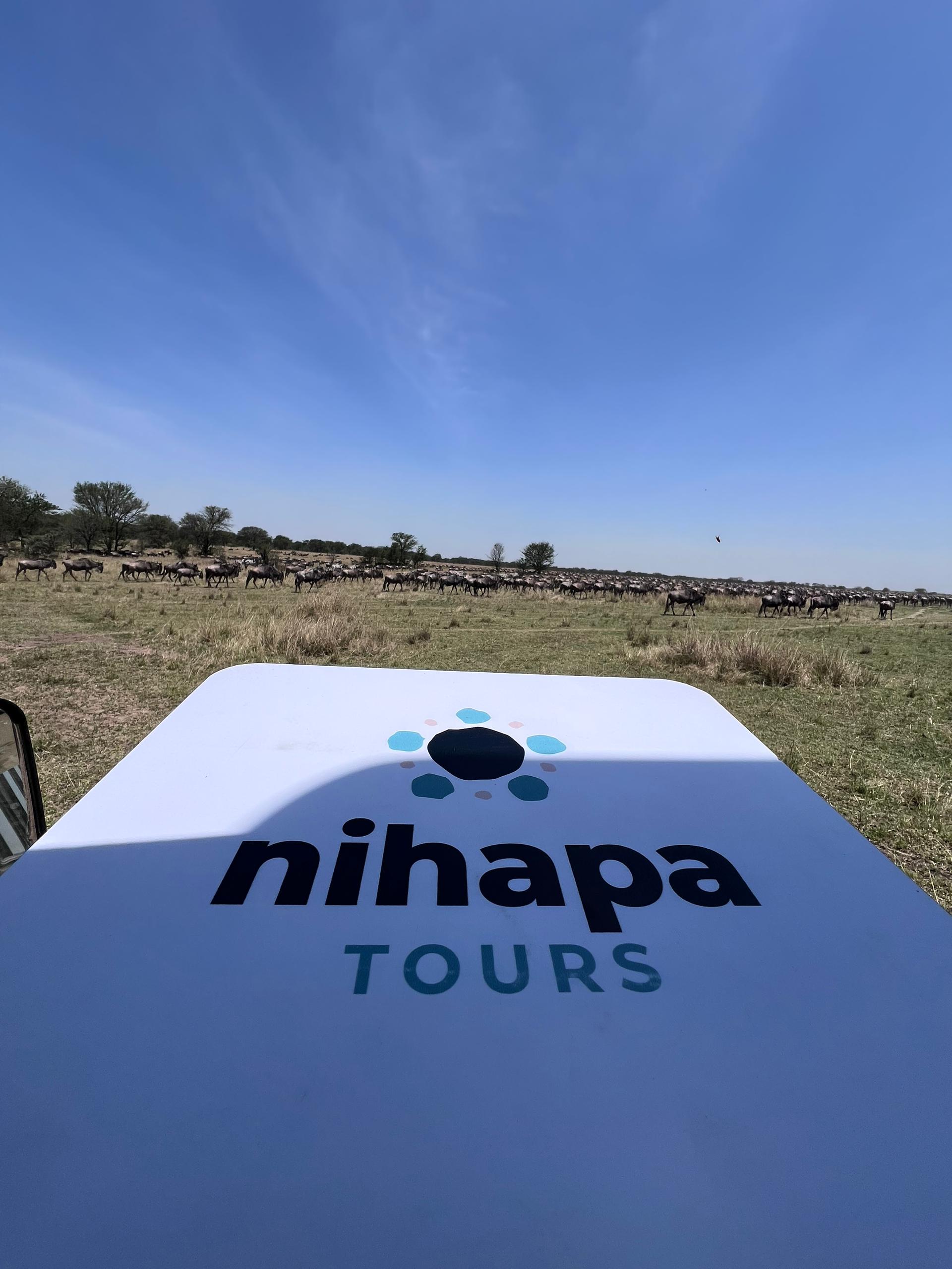 5 Day Migration Group Safari Serengeti and Ngorongoro