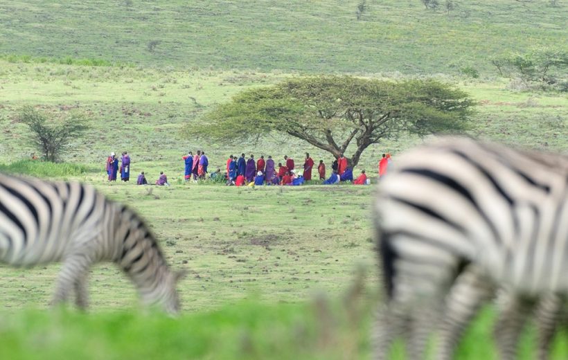 8-Day Tanzania Calving Season Safari