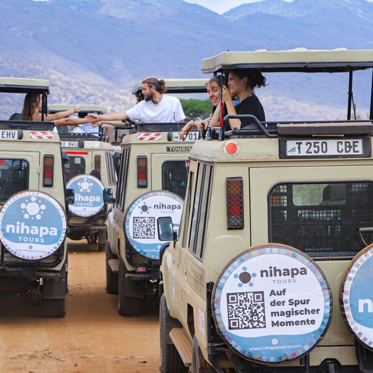 Visitors enjoying a wildlife safari inside a Nihapa Tours vehicle in Tanzania, showing what an African safari costs