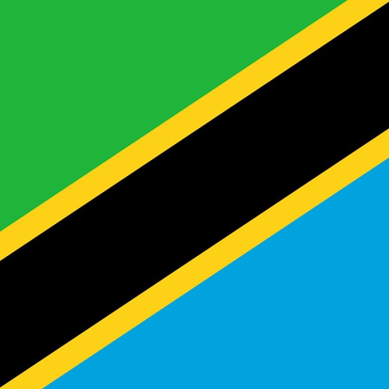 Tanzania flag symbolizing peace and safety after the 2025 election