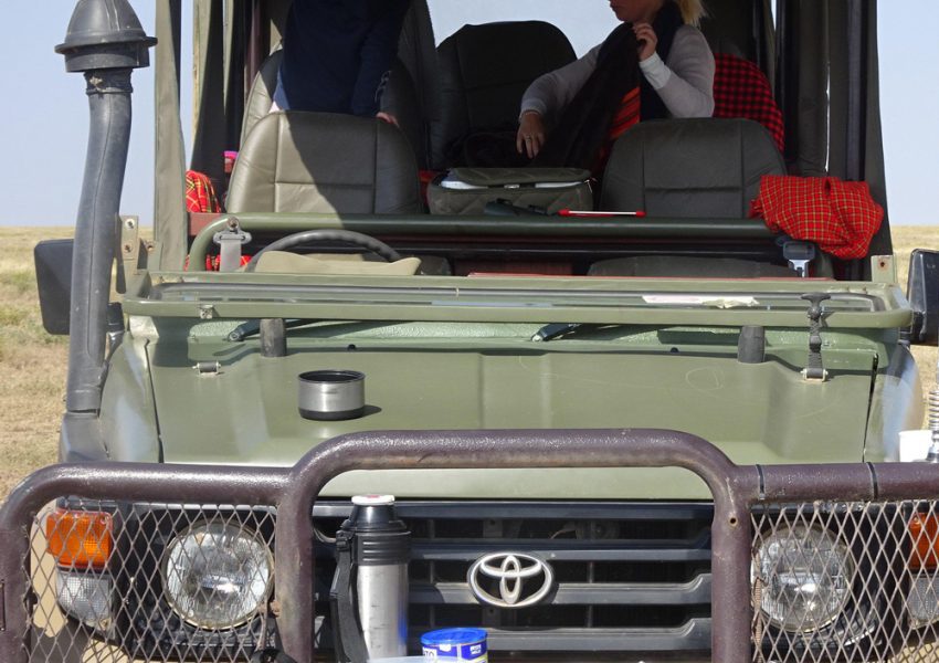 Embark on a 5 Day Family Safari in Serengeti and Tarangire for unforgettable wildlife experiences and educational adventures.