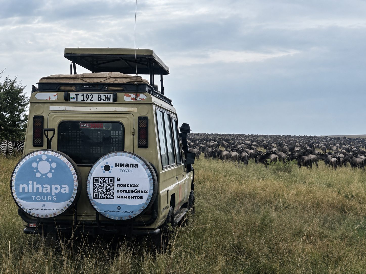 6 Day Migration Group Safari in the Serengeti
