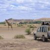 Inbound Travel Insurance Tanzania