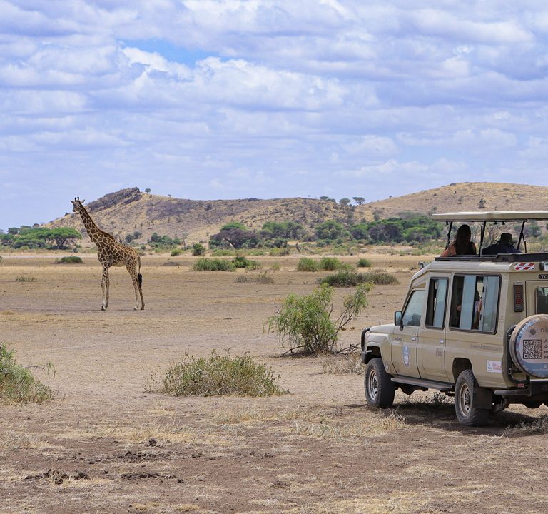 Inbound Travel Insurance Tanzania