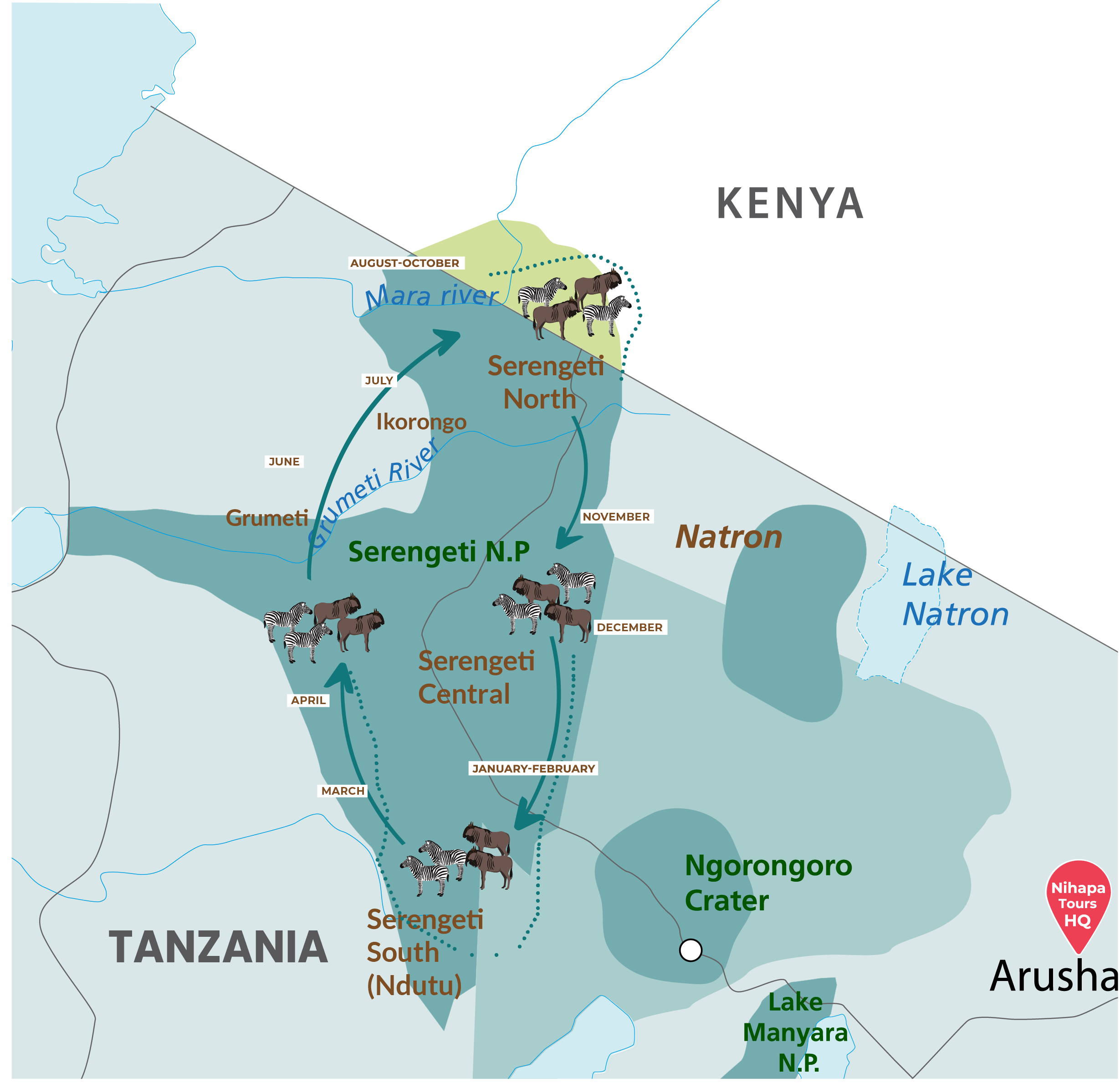 Great Serengeti wildebeest migration movement map by Nihapa Tours showing seasonal movement through Ndutu, Central Serengeti, Western Corridor and Northern Serengeti